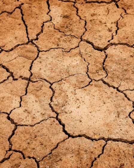 Dry Skin Care - Home remedies for dry skin
